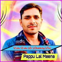 Vaha Vaha Re Dhokhebaj Pari