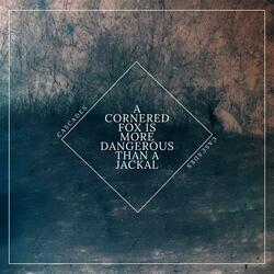 A Cornered Fox Is More Dangerous Than a Jackal