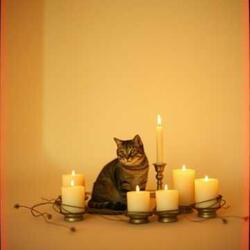 O SUSTO DA MADRUGADA