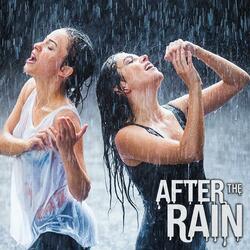 After The Rain (Radio Edit)