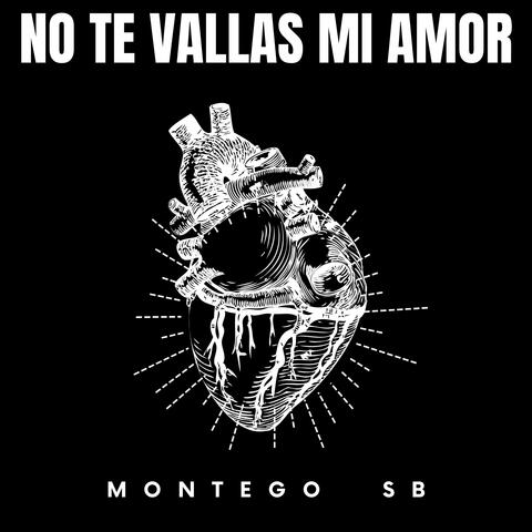 NO TE VALLAS MI AMOR