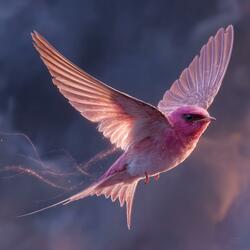 Птах без крила