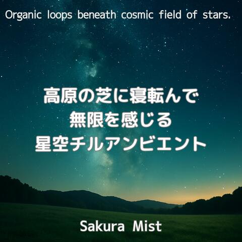 高原の芝に寝転んで無限を感じる星空チルアンビエント