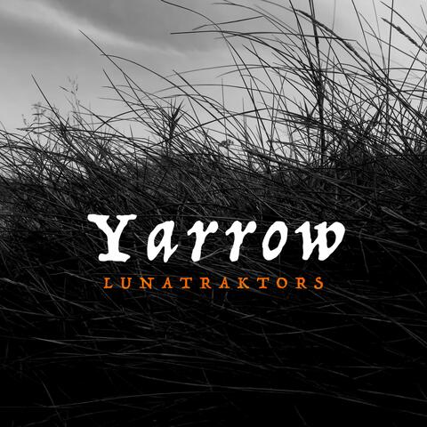Yarrow (Video Edit)