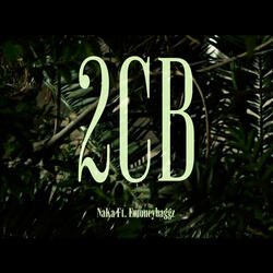 2CB (feat. Emoneybagg)