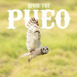 Specs The Pueo