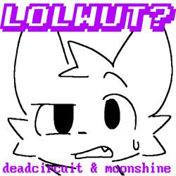 Lolwut? (feat. DeadCircuit)