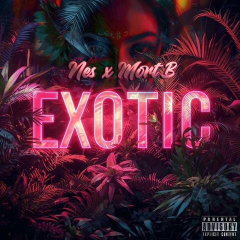 Exotic (feat. Nes)
