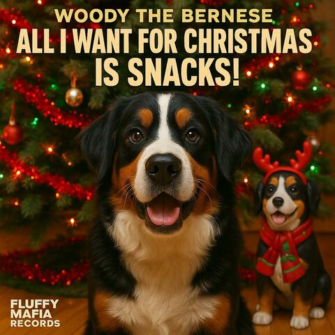 All I Want For Christmas Is Snacks