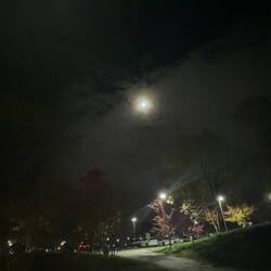 wild thoughts (jersey club)