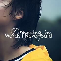 Drowning in Words I Never Said