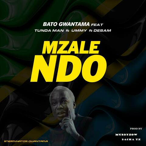 Mzalendo (feat. Tunda Man & Lady Ummy)