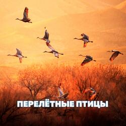 Перелётные птицы