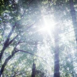 I Know She'll Wait (Acoustic)