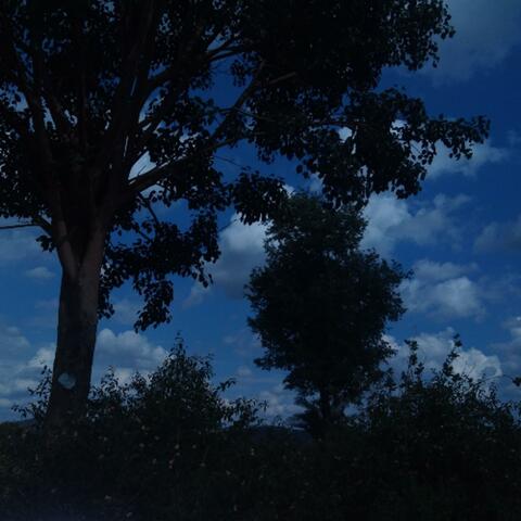 felt without feeling