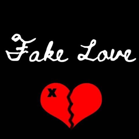 Fake Love