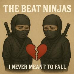 I NEVER MEANT TO FALL (feat. CHRIS DARK)