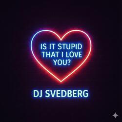 Is it stupid that I love you (Radio Edit)