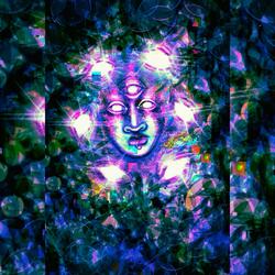 Springy bouncy sounds that only mushrooms know