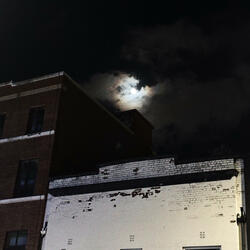 No fight left (Demo)