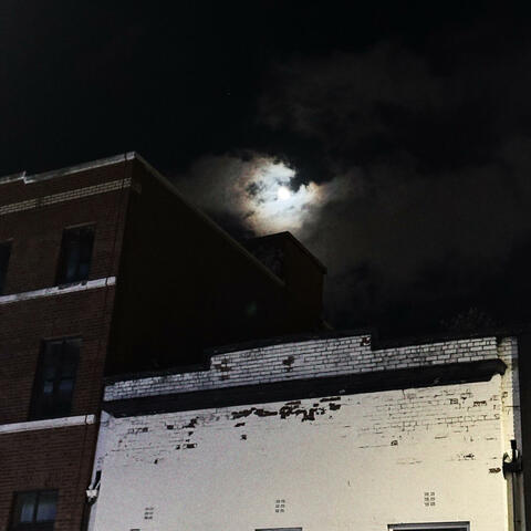 No fight left (Demo)