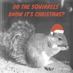 Do The Squirrels Know It's Christmas?