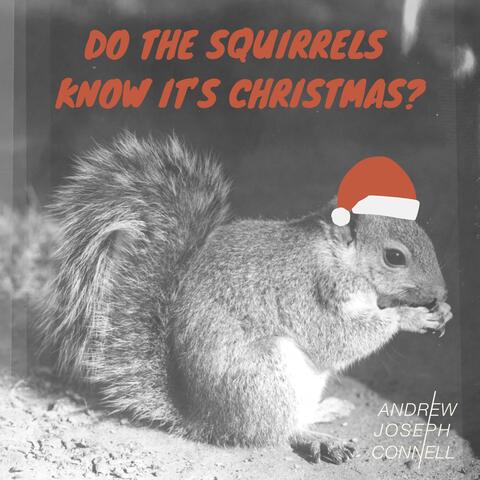 Do The Squirrels Know It's Christmas?