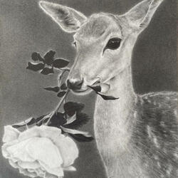 meaningful love (feat. coye)