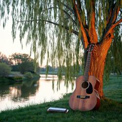 Whispers of the Willow