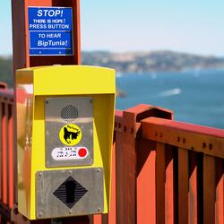 Theropods in my Garden