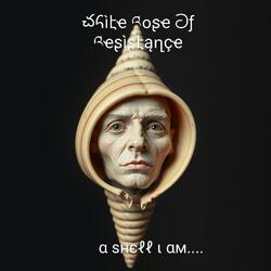 A Shell I am (Instrumental )