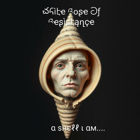 A Shell I am (Instrumental )