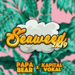 Seaweed 2019 (feat. Kapital Vokal)