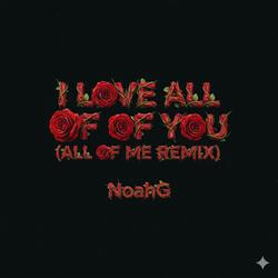 I love all of you (All of me remix)