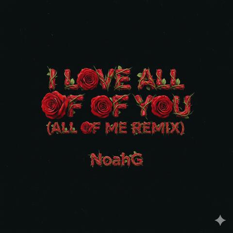 I love all of you (All of me remix)