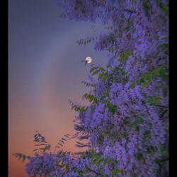 float into the atmosphere