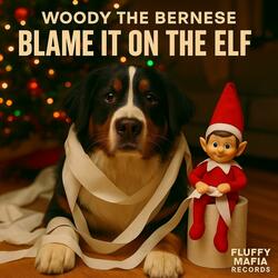 Blame It On The Elf