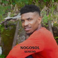 NOGOSOL