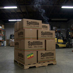 Everyday is Rasta Time