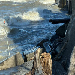 The more you ignore me