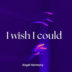 I wish I could