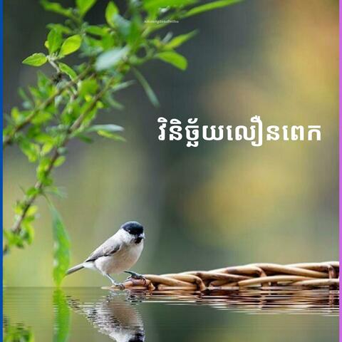 វិនិច្ឆ័យលឿនពេក