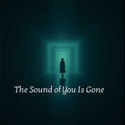 The Sound of You Is Gone