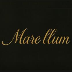 Mare llum