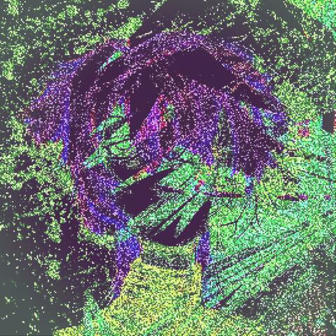 self life destruction EP