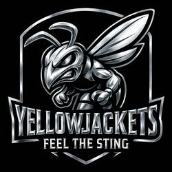 FEEL THE STING (DEMO)