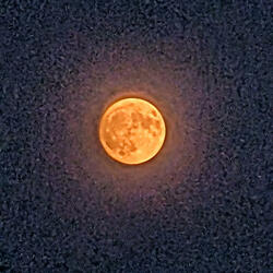 Save this world (Phantasy Star Universe) (Remix)