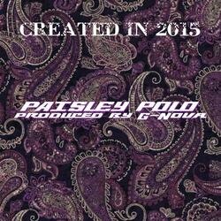 Paisley Polo 2015