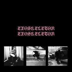 EXOSKELETON