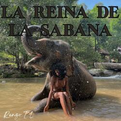 LA REINA DE LA SABANA